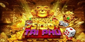 Thủ thuật chơi tài phú md5 là nên ưu tiên việc chơi hai cửa chẵn lẻ và tài xỉu